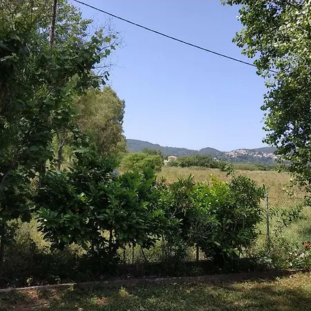 Pool Marmaron (Corfu)